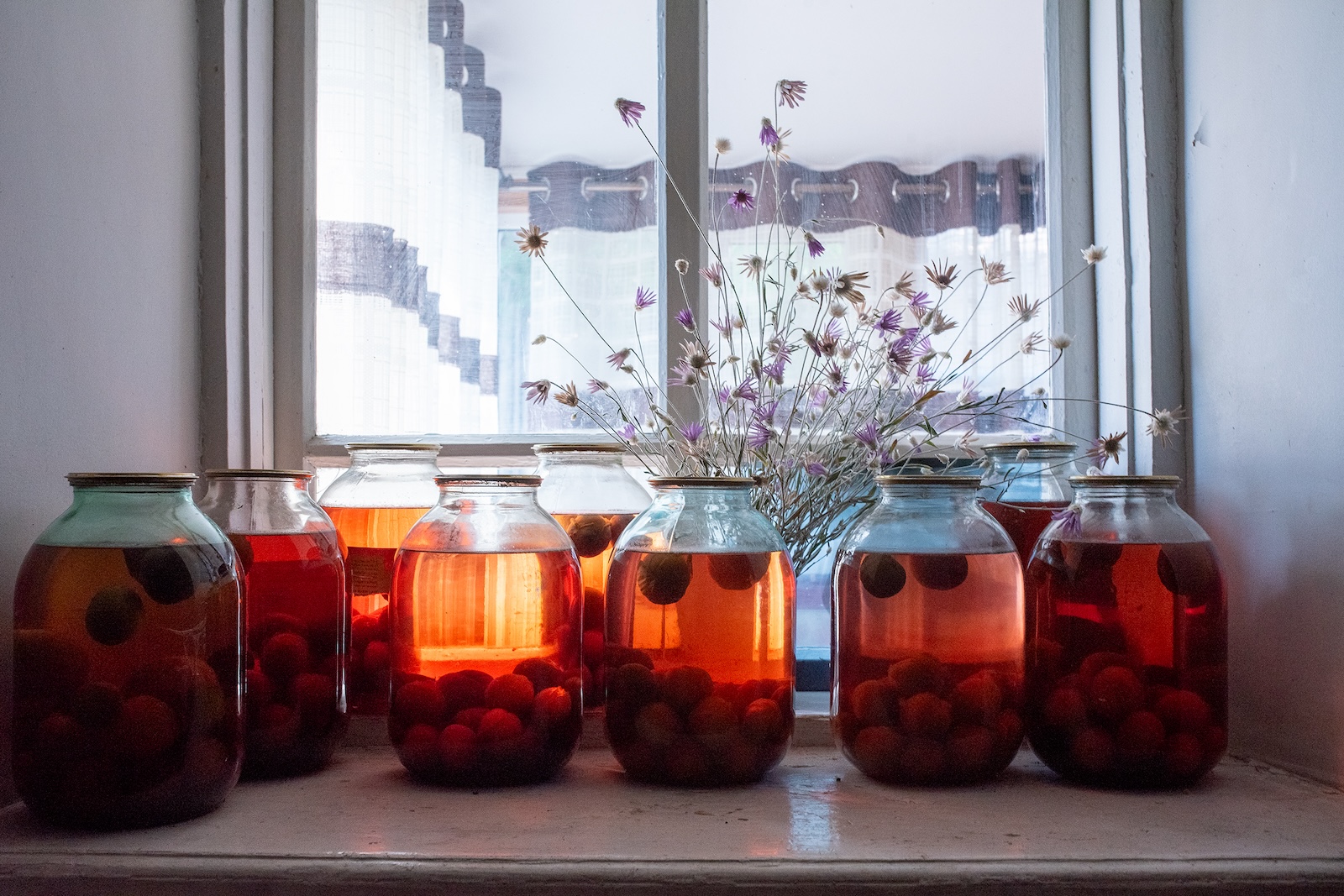 Auf der Fensterbank stehen große Gläser mit eingelegten Pflaumen. In diesem Haus im Heimatdorf meiner Kindheit lebten früher Verwandte von mir. Kompott aus unserem Garten half uns über die langen kirgisischen Winter, in denen es selten frisches Obst zu kaufen gab / Foto © Irina Unruh